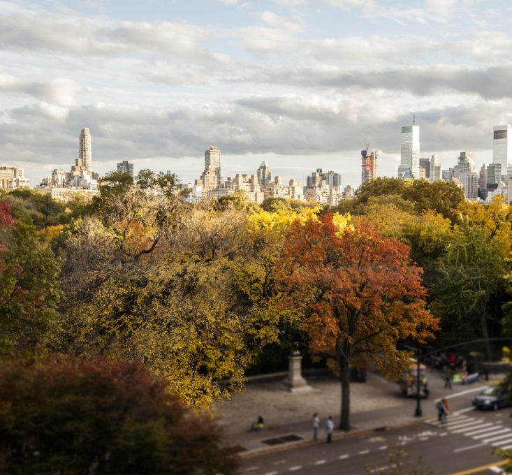 Fall In New York