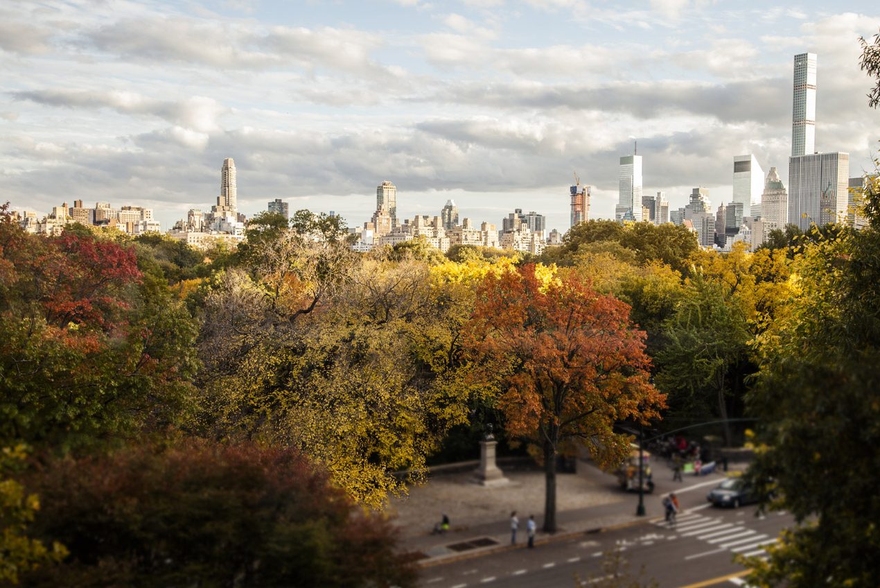 Fall In New York