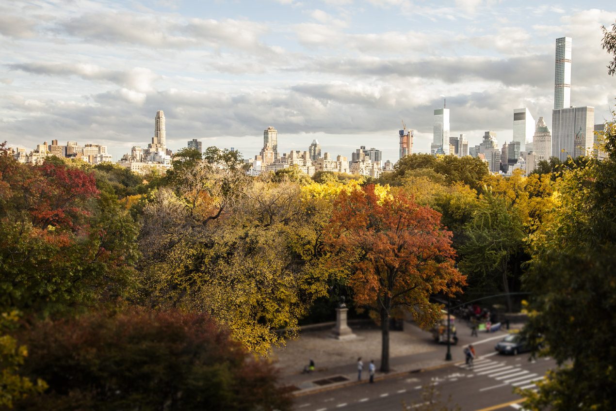 Fall In New York