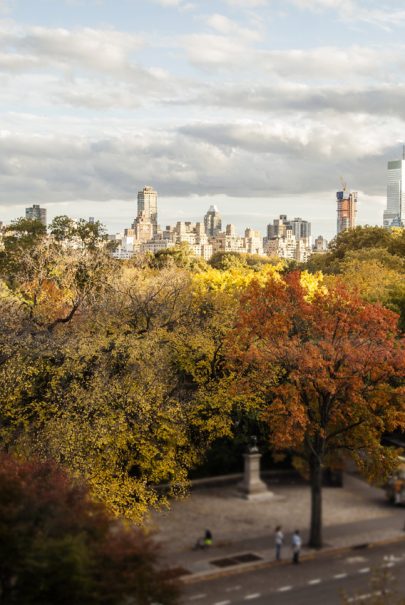 Fall In New York