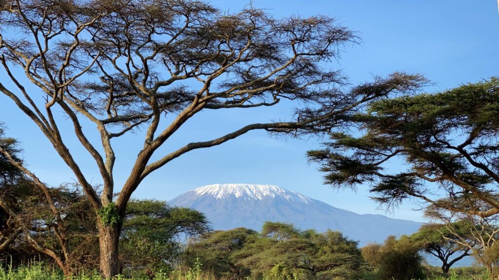 Mount Kilimanjaro view from Kenyan safari landscape with acacia trees
